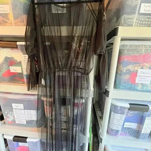 ~Zara~ Tulle Overlay Dress - Small - Picture 3 of 6